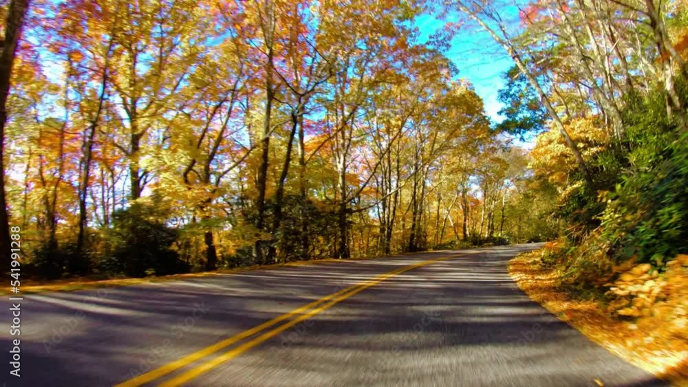 driving at the Blue Ridge Parkway, North Carolina on sunny autumn day. Vibrant fall park forest driving at the Blue Ridge Parkway, North Carolina on sunny autumn day. Vibrant fall park forest
