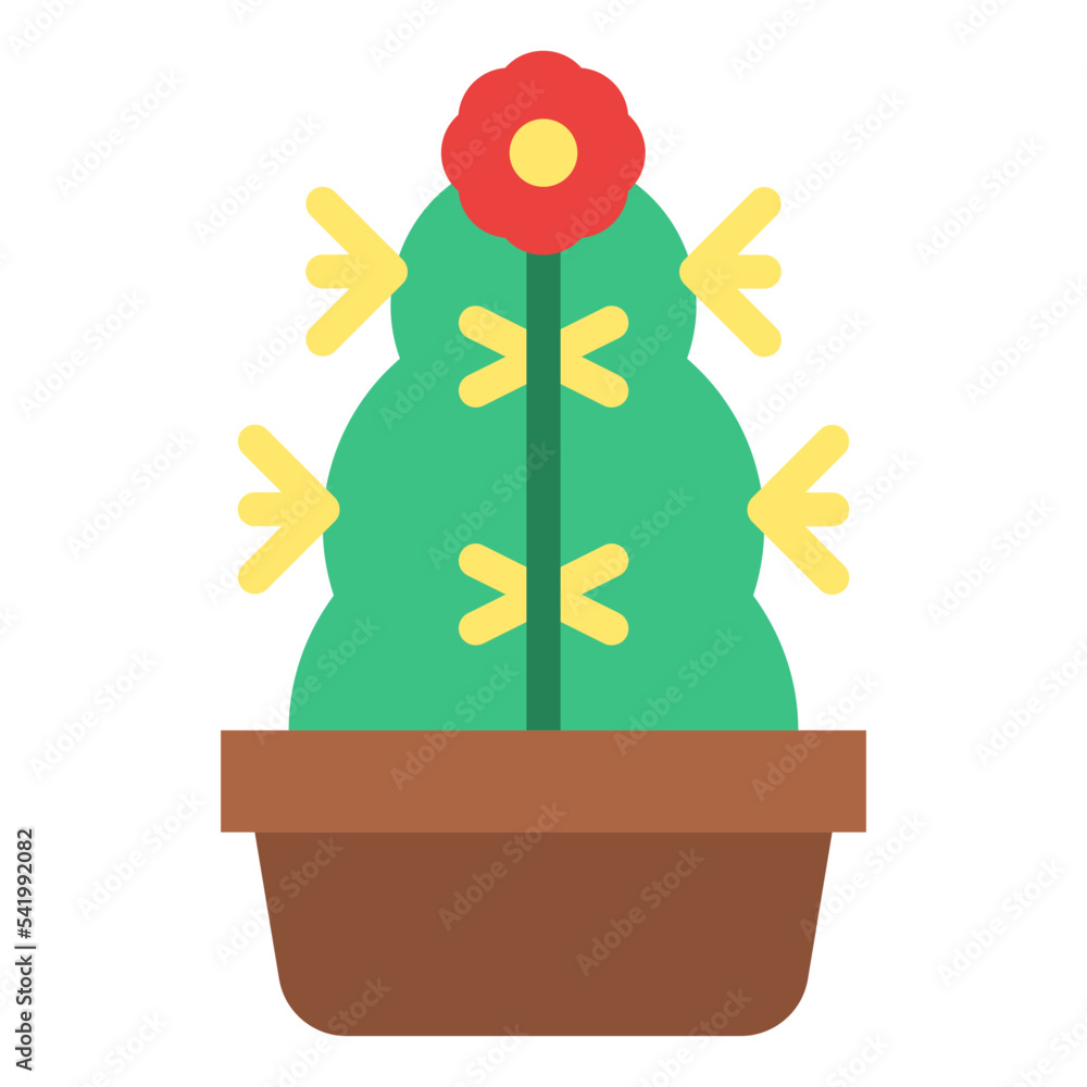 Fototapeta premium cactus