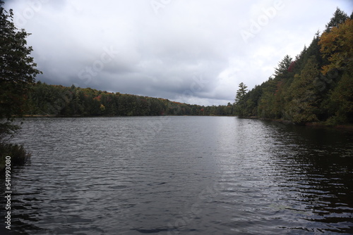 hiking through the forest and lakes at limberlost trails photo