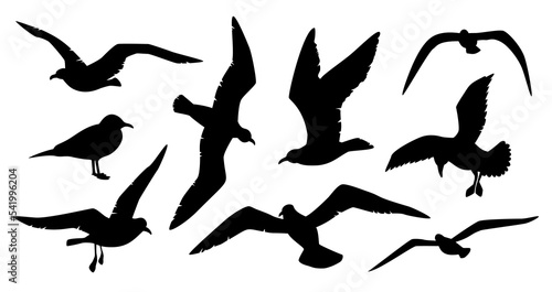 Seagull silhouette vector set. Many birds sea gulls black outline on white background. Seagulls flock flight cutter template contour cut file stencil.