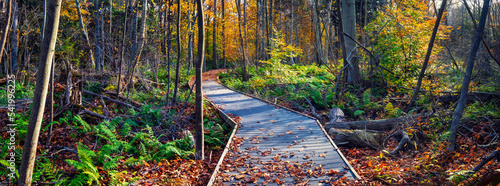 Beautiful landscapes and scenery from fall and autumn colours in Ontario Canada with leaves and shadows as well as sunstars and brilliant skies. photo