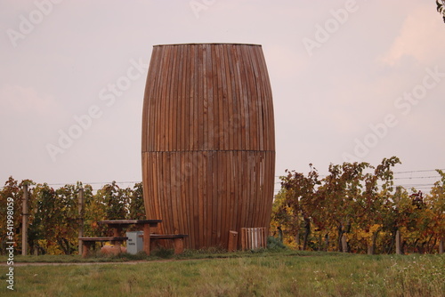 A small lookout tower in the shape of cask near Sardice, Czech republic