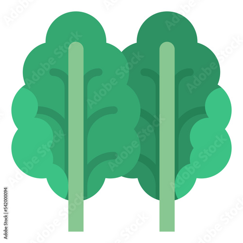 kale