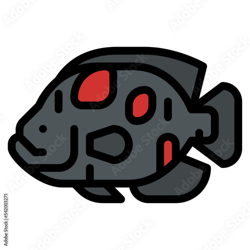 oscar fish sea animal