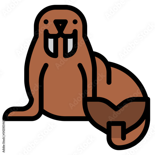 walrus sea animal