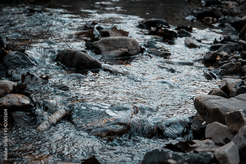 rocks in the flowing creek