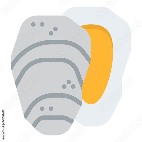 oyster sea animal