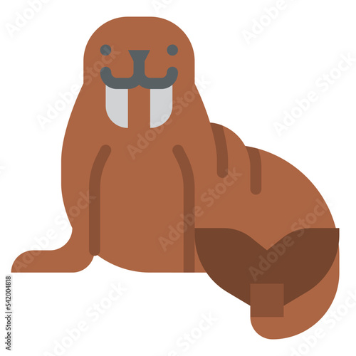 walrus sea animal