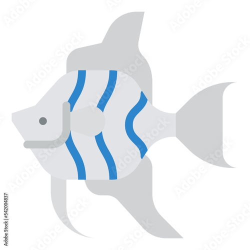angelfish sea animal