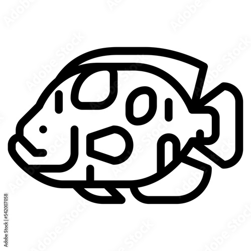 oscar fish sea animal