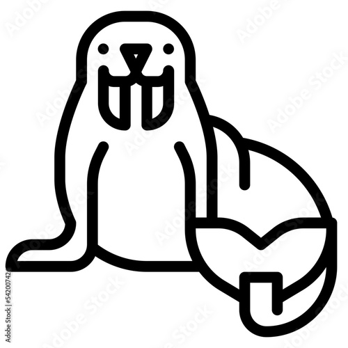 walrus sea animal