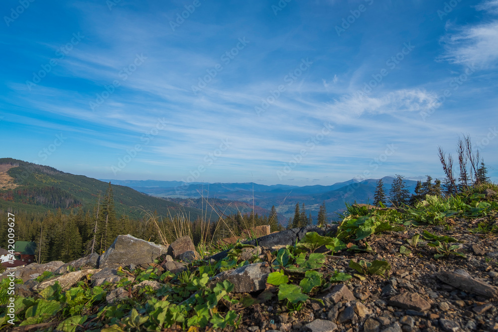 Obraz premium mountains landscape in the carpathians
