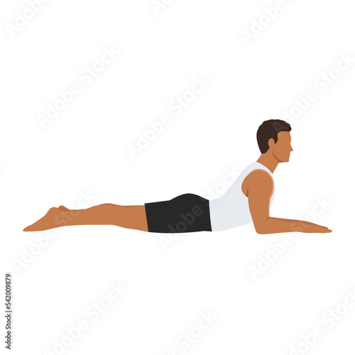 Man doing salamba bhujangasana sphinx pose exercise. Flat vector illustration isolated on white background