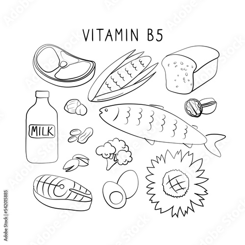 Vitamin B5 Pantothenic acid. Groups of healthy products containing vitamins. Set of fruits, vegetables, meats, fish and dairy