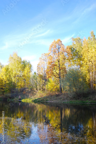 Forest lake in late autumn. Trees stand without leaves. Cloudy. The sun illuminates the transparent trees. Ducks swim on the lake.