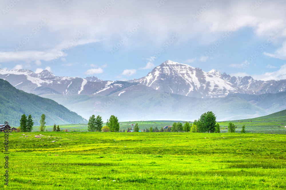 Crested Butte, Colorado rural summer countryside with blue clouds rain sky, farm pasture field of lush green grass by houses, mountain in background