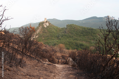 Burnt landscape with Ozio castle in the background, Zanbrana Fire, Araba - Alava, Basque Country.
 photo