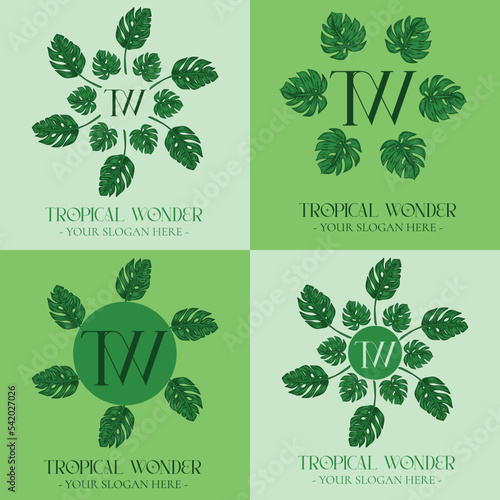 Four logotype pemplete set tropical leaves color illustration