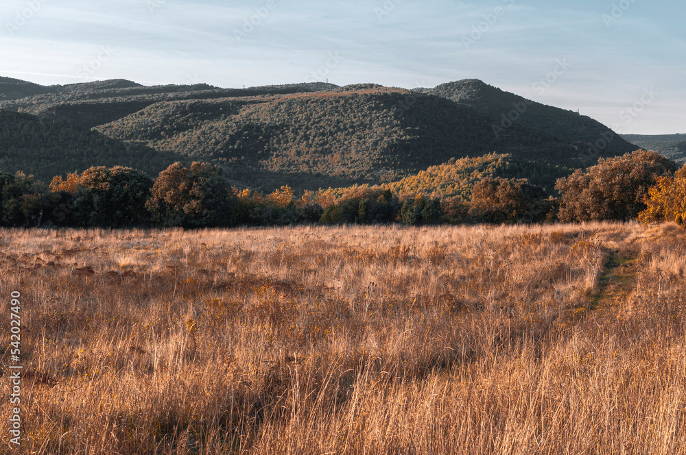 A few hills are bathed in the evening sun.
A few hills are bathed in the evening sun.