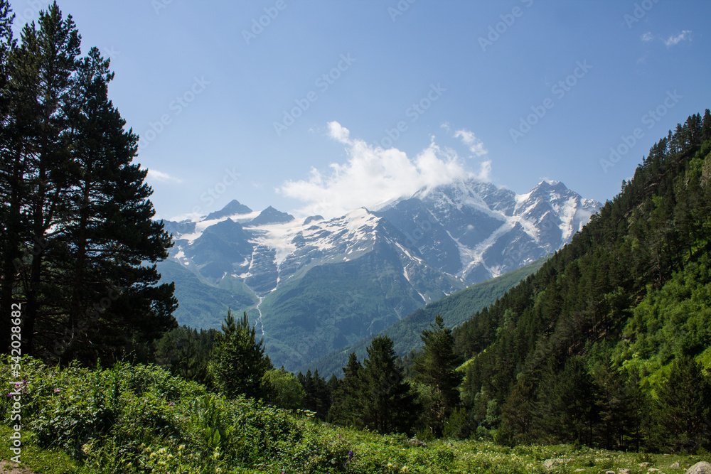 Pastoral mountain landscape - snow-capped high peaks and green slopes with trees and bright green grass on a sunny summer day in Kabardino-Balkaria in the Terskol valley in the Elbrus region