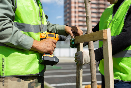 Workers in uniform are using a screwdriver to prepare a support for fixing a young decorative tree. photo