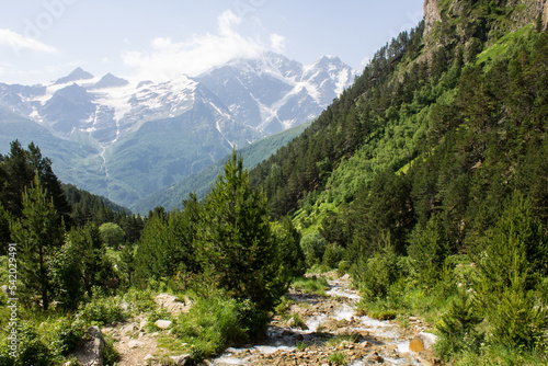Pastoral landscape - the Terskol mountain river flows in a picturesque valley on a rocky bottom among high mountains with green grass and trees on a sunny summer day