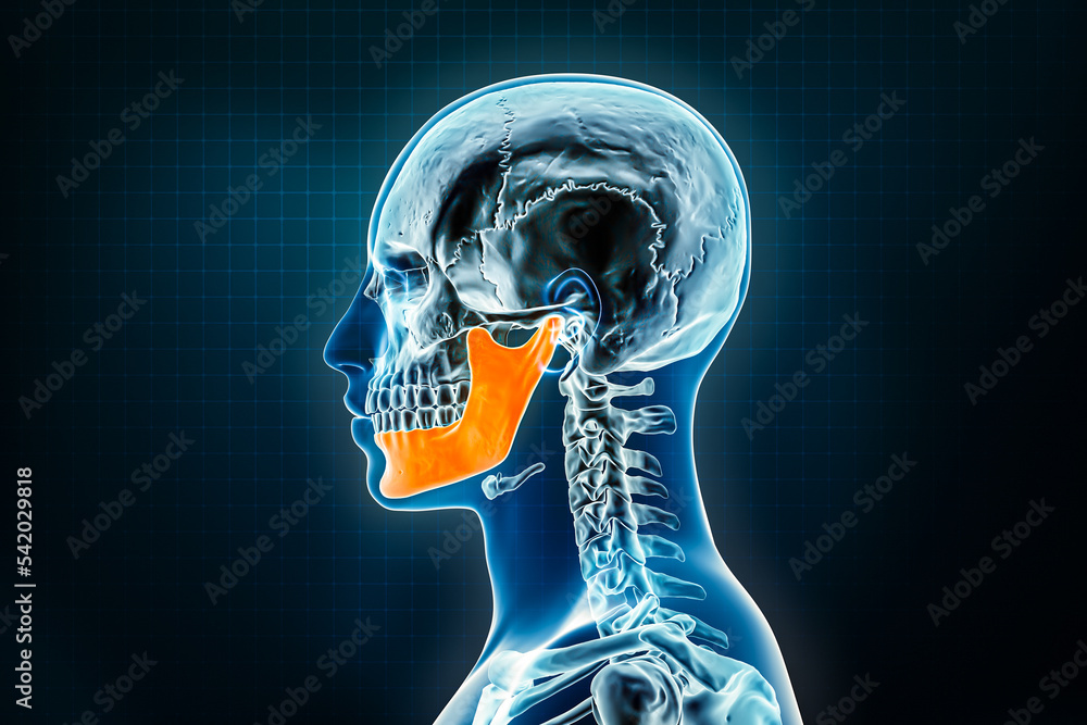 Jawbone or mandible or lower jaw xray lateral or profile view