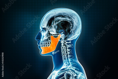 Jawbone or mandible or lower jaw x-ray lateral or profile view. Osteology of the human skeleton 3D rendering illustration. Anatomy, medical, science, biology, healthcare concepts.