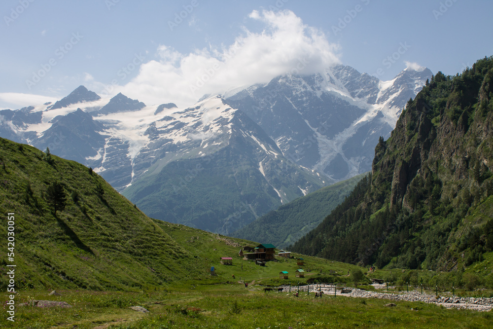 Pastoral mountain landscape with peaks with glaciers and a bright alpine meadow with green grass in a valley near Elbrus in the North Caucasus