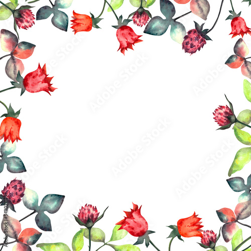 Flowers. Watercolor frame of hand painted spring wild flowers