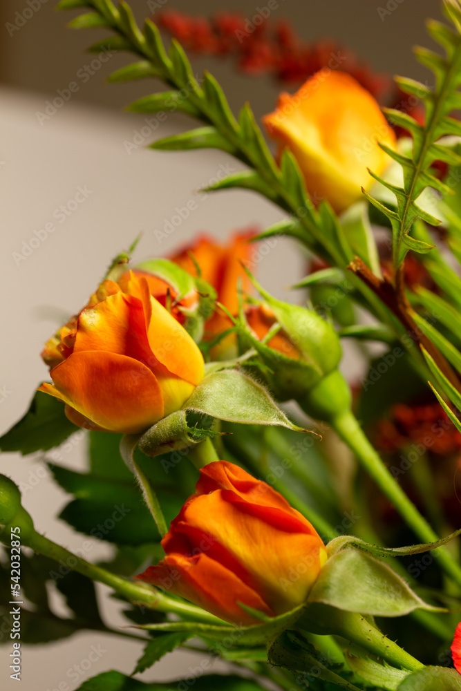 Abstract macro texture view of small pink and yellow roses in an indoor florist arrangement Abstract macro texture view of small pink and yellow roses in an indoor florist arrangement