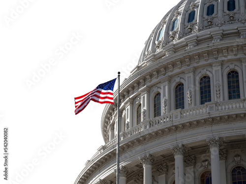 Fotobehang The US Capitol building dome in Washington DC isolated.