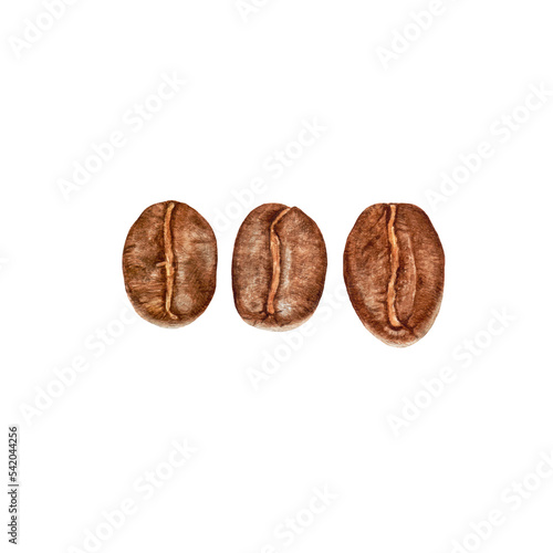Watercolor coffee beans isolated.