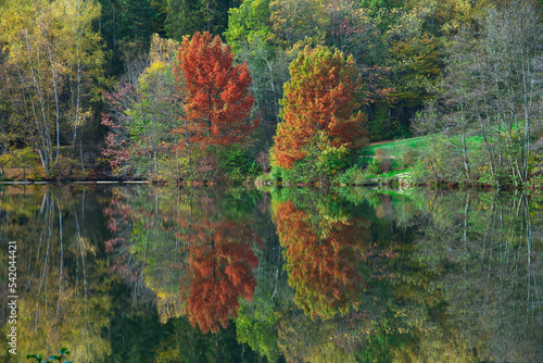 Rotgoldener Herbst am Glashütter Weiher bei St. Ingbert, Saarland