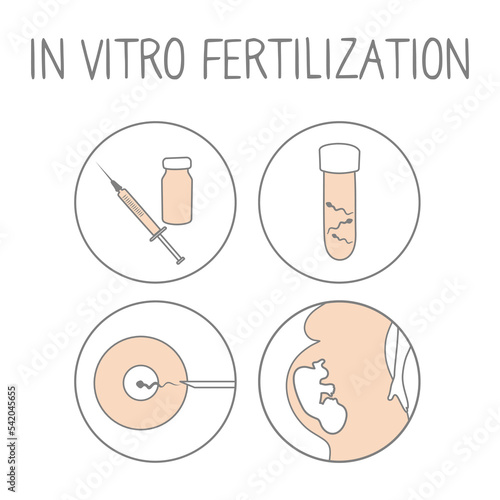 In vitro fertilization icon set. Linear simple illustration pregnancy and fertility. IVF fertilization signs. Vector