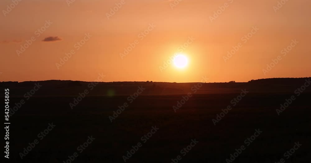 A field at sunset with flying insects, a field at dusk during sunset A field at sunset with flying insects, a field at dusk during sunset