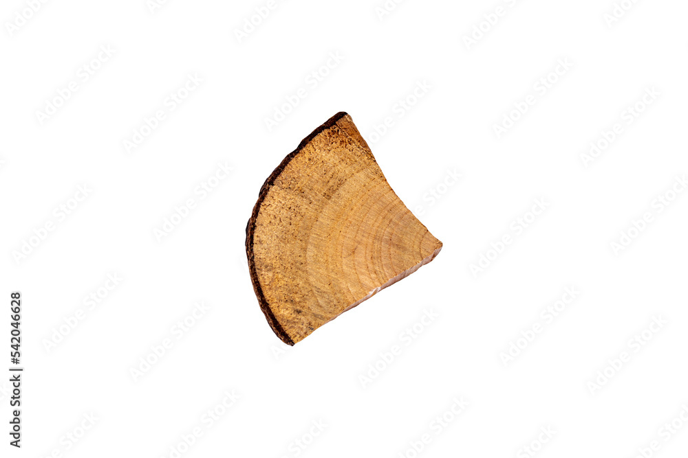 Top view of tree stump piece, png Top view of tree stump piece, png