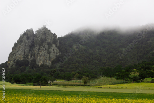 spectacular landscape of mountains with mist in hidalgo mexico photo
