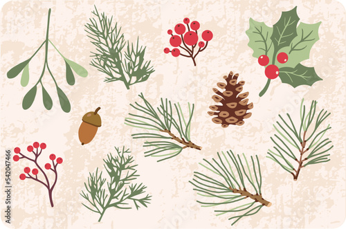 Vector floral clipart. Winter botanical illustration set