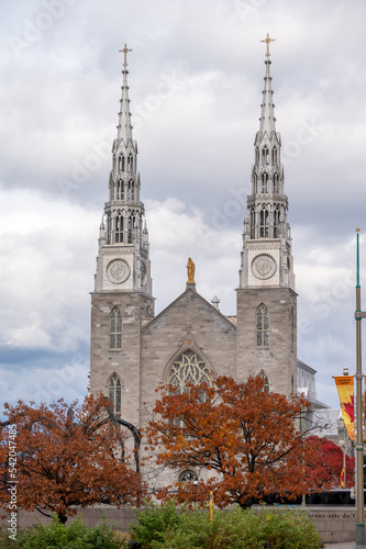 The Notre-Dame Cathedral Basilica is an ecclesiastic basilica in Ottawa, Canada was designated a National Historic Site of Canada in 1990.