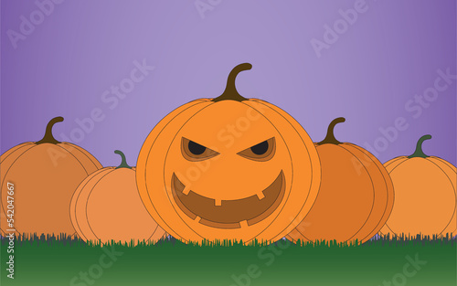 Halloween pumpkin with scary face - several pumpkins in a garden with grass.