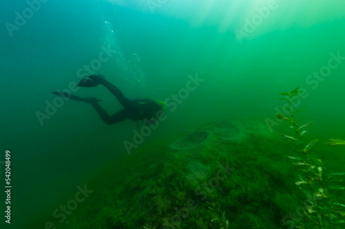 SCUBA diver exploring a murky inland lake with dappled light.