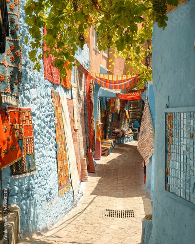 Narrow alley between beautiful blue-washed buildings in Chefchaouen, Morocco © Zakariae Daoui/Wirestock Creators