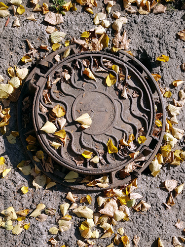 Gray sewer hatch with yellow leaves after rain on cracked asphalt autumn
