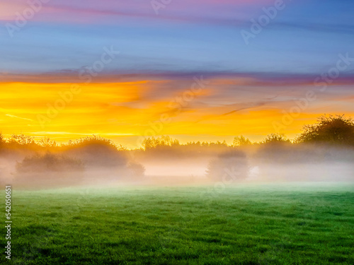 sunrise over the field