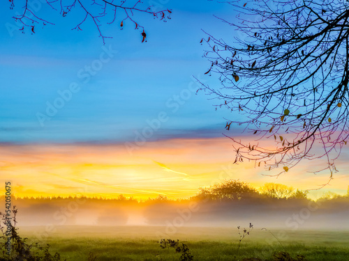 sunrise over the field