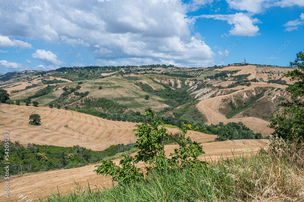 The Abruzzo hills with olive trees and cultivated fields and a blue sky
