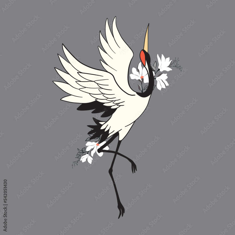 Fotografie Japanese crane bird isolate on a white background.