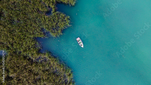 coral reef in the sea