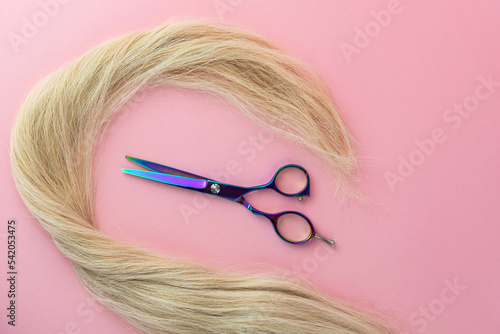 Scissors of professional hairdresser and strand of natural human blond hair on pink background.